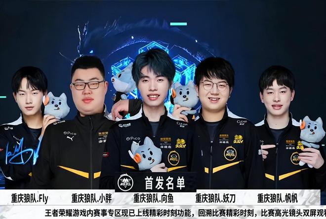 巴西球员安
