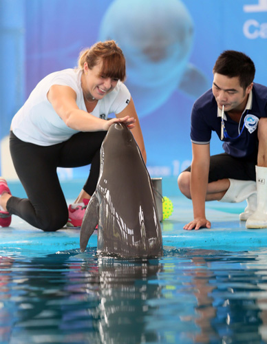 打造主场氛 打造主场氛