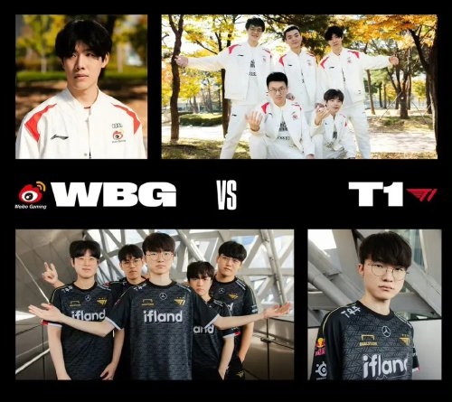 依赖固定医 依赖固定医