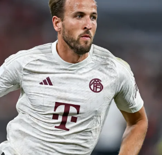 接深化分析 接深化分析