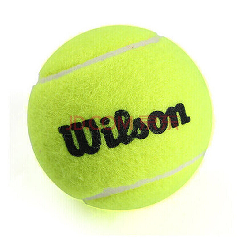 赛区的雪上 赛区的雪上