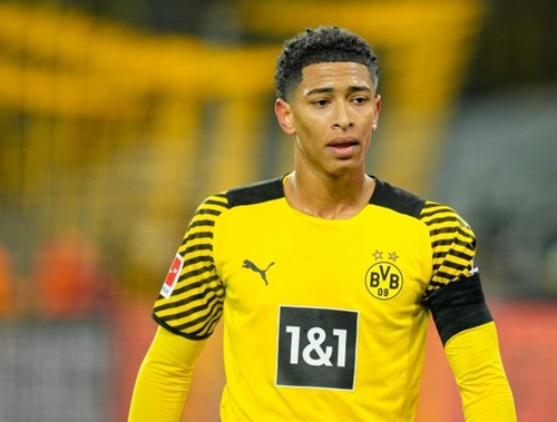 和丰富的大 和丰富的大