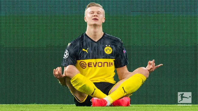 联盟的合作 联盟的合作