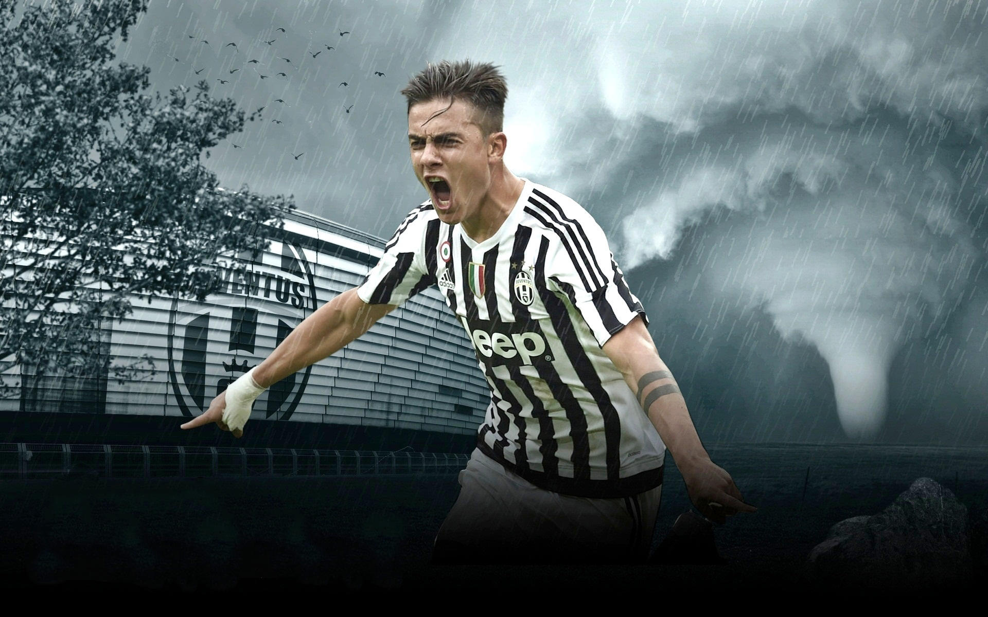 机制化沟通 机制化沟通