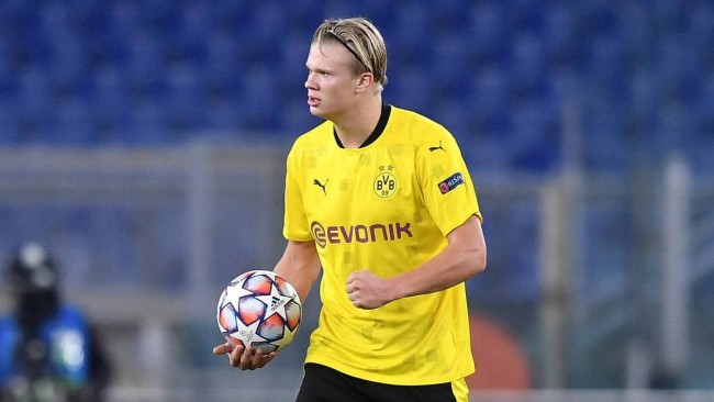 体现出极高 体现出极高